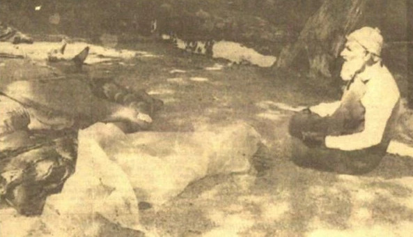 Arşiv